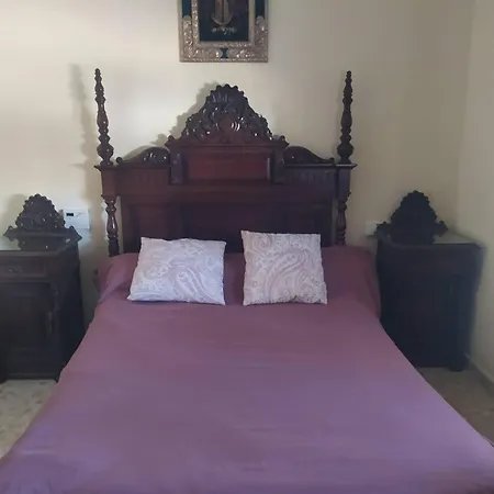 Palmeras *